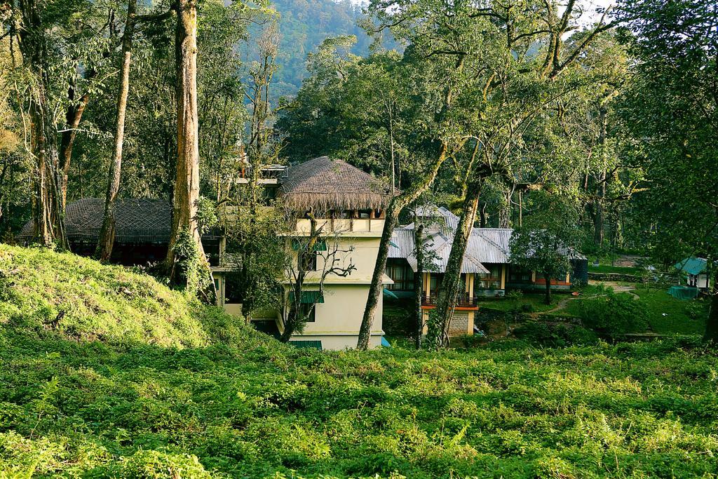 Deep Woods Resort Munnar Rom bilde