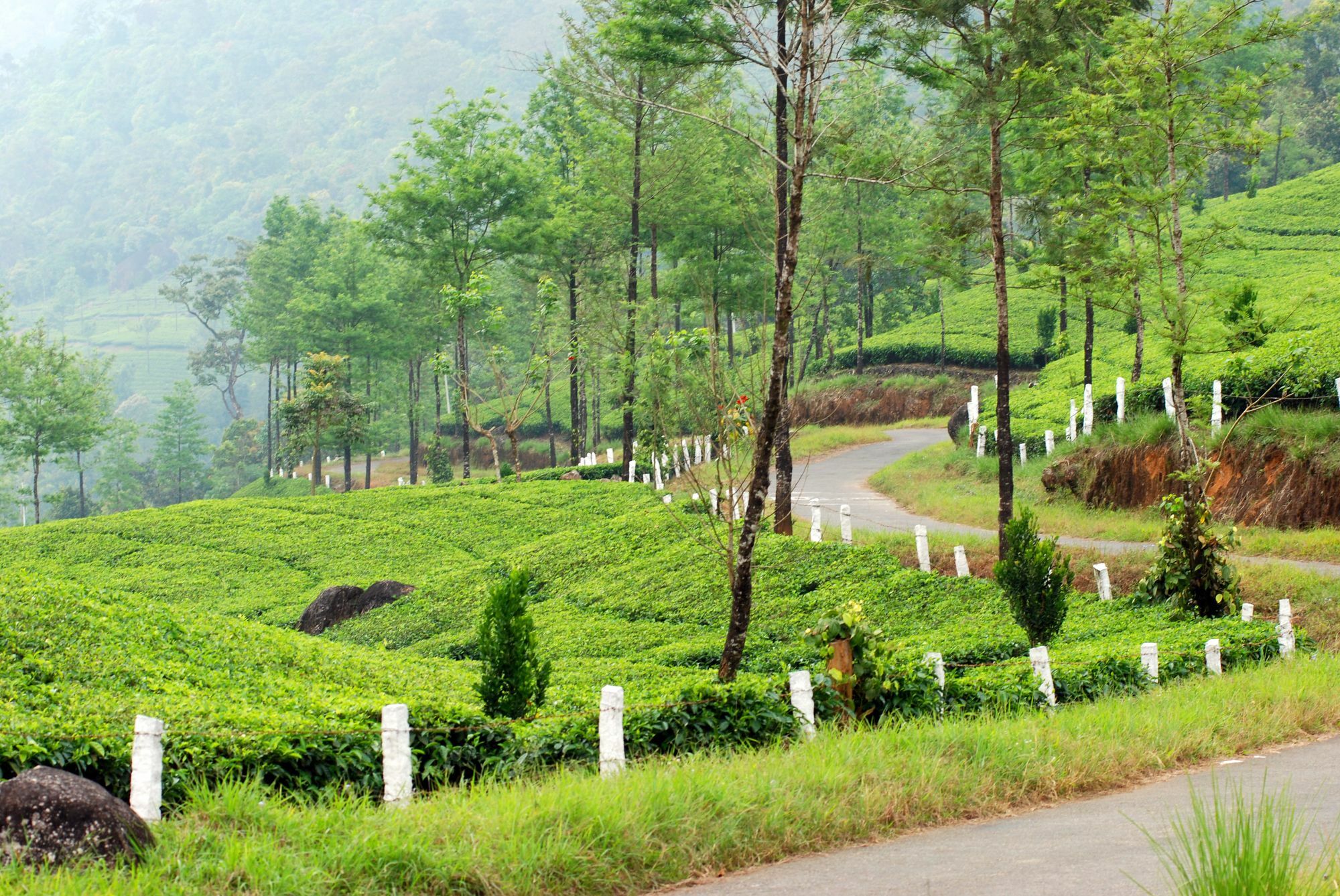 Deep Woods Resort Munnar Eksteriør bilde